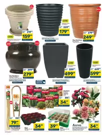 Pick n Pay Hypermarket catalogue Page 4: Edar Green House 12 Cell Paper Pot €39,99