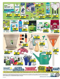Pick n Pay Hypermarket catalogue Page 4: Efkto Trap-A-Roach Eco Cockroach Trap €149,99, Doom Blue Death Insect Powder €79,99