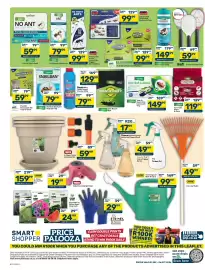 Pick n Pay Hypermarket catalogue Page 4: Efkto Trap-A-Roach Eco Cockroach Trap €149,99, Doom Blue Death Insect Powder €79,99