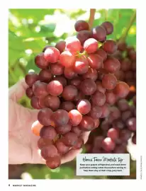 HARRIS FARM catalogue Page 18