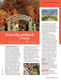 HARRIS FARM catalogue Page 63