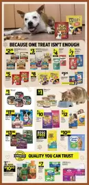 Dollar General weekly ad week 39 Page 12