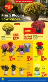 Lidl weekly ad week 39 Page 22