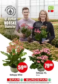 Eurospar kundeavis uke 39 Side 14