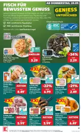 Kaufland Prospekt Seite 43