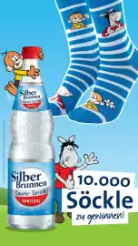 Silberbrunnen I Söckle 2026 Seite 1