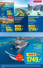 Lidl Flugblatt woche 39 Seite 30