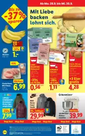 Lidl Flugblatt woche 39 Seite 31