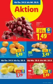 Lidl Flugblatt woche 39 Seite 4