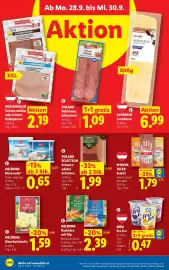 Lidl Flugblatt woche 39 Seite 47