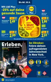 Lidl Flugblatt woche 39 Seite 2