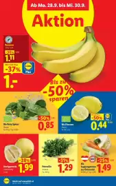 Lidl Flugblatt woche 39 Seite 45