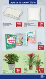 Catalogue ALDI semaine 40 page 51: GARDENLINE GUZMANIA OU VRIESEA €4,79, GARDENLINE SCHLUMBERGERA €3,49