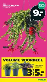 Ranzijn folder Pagina 25