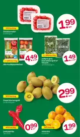 Spar folder Pagina 4