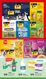 Folheto Coviran Página 19: Dentalife snack para cão medium ou small €1,55