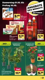 Netto Prospekt Seite 39