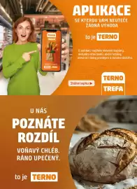 Terno leták týden 39 Strana 17