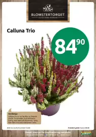 Joker kundeavis uke 39 Side 13: Calluna Trio €84,90