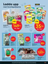 DollarStore annonsblad Sida 13: Grisöron Naturligt €145,00, Faunakram kattfoder €59,00