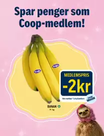Coop Prix kundeavis Side 19