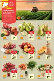Catálogo Caprabo Página 8: Nectarina €2,29, La Conca pastanaga, manat €1,95