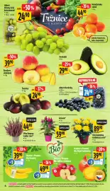 Albert leták | Supermarket Strana 10: Švestky €24,90, Broskve skládané €39,90