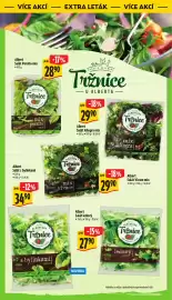 Albert leták | Supermarket Strana 39: Albert salát porsito mix €28,90, Albert Salát Allegra mix €29,90