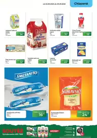 Tamda Foods leták týden 39 Strana 19: Bohemilk sýr €22,90, Olma Florian jogurtový nápoj jahoda €18,50