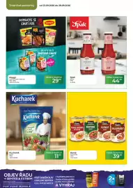 Tamda Foods leták týden 39 Strana 40
