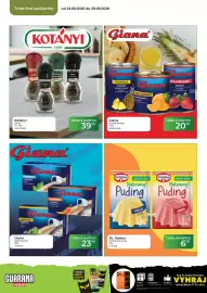 Tamda Foods leták týden 39 Strana 42: Dr. Oetker Puding Naturamyl €6,90, Kotányi koření €39,90