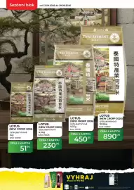 Tamda Foods leták týden 39 Strana 8: Sezónní blok od 23.09.2026 do 29.09.2026 INTWIELIEKL THAI JASMINE RICE PREMIUM QUALITY