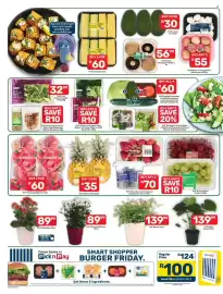 Pick n Pay catalogue week 39 Page 2: PnP Calandiva 12cm €89,99, PnP Queen Pineapple €35,00