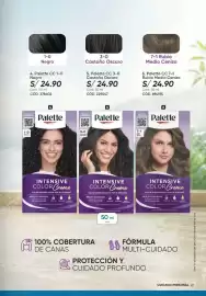 Catálogo Azzorti Página 21