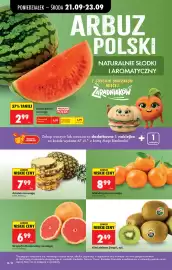 Biedronka gazetka tydzień 39 Strona 36