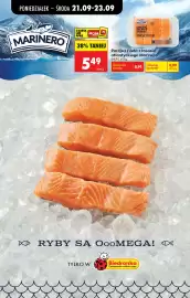 Biedronka gazetka tydzień 39 Strona 51