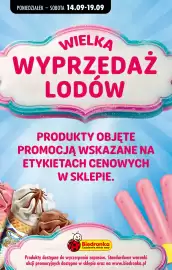 Biedronka gazetka tydzień 39 Strona 58