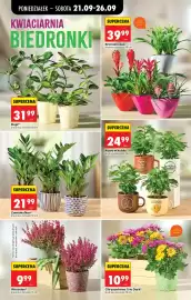Biedronka gazetka tydzień 39 Strona 98