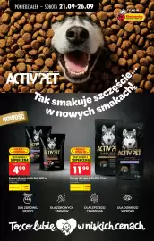 Biedronka gazetka tydzień 39 Strona 99