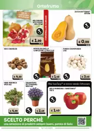 Volantino Gala Supermercati Pagina 7: Patate Selenella €1,48, Funghi champignon €3,49