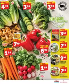 Topaz Express gazetka tydzień 39 Strona 7: Lunchbox Hi-Pro Freshline €9,99, Kapusta kiszona Bochenek €3,69