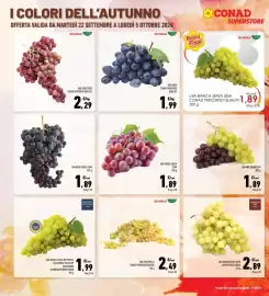 Volantino Conad Superstore Pagina 4: Uva nera Conad Percorso Qualità €1,99, Uva Rossa Senza Semi €1,89
