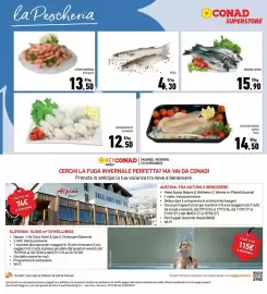 Volantino Conad Superstore Pagina 6: Branzino 400/600 €15,90, Gamberi Argentina €13,50
