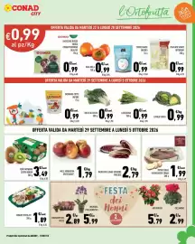 Volantino Conad City Pagina 3: Funghi trifolati €1,89, Kiwi Hayward Zespri Green €3,49
