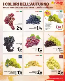 Volantino Conad City Pagina 4: Uva mix senza semi €1,89, Uva Rossa Senza Semi €1,89