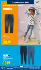 Lidl gazetka tydzień 40 Strona 20