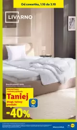 Lidl gazetka tydzień 40 Strona 31