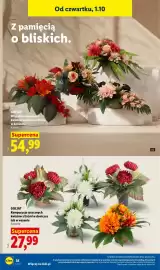 Lidl gazetka tydzień 40 Strona 46: GOLIAT Kompozycja sztucznych kwiatów z liśćmi €27,99