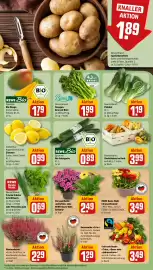 REWE City Prospekt woche 39 Seite 13