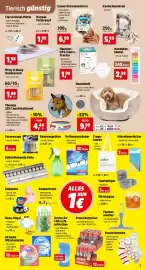 Thomas Philipps Prospekt woche 39 Seite 9: Caneo Schweineohren €6,99, Hundebett €9,99